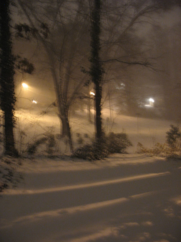 My street in an Atlanta snow.