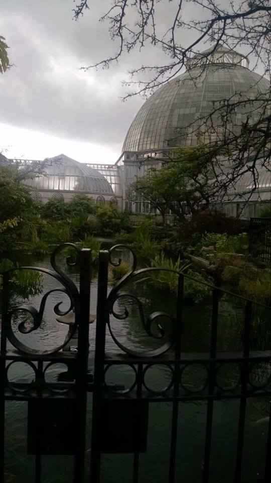 A photo of the Belle Isle Conservatory taken by Maya, Mershell Grahams 2X great granddaughter.