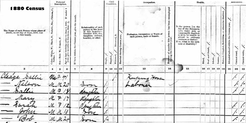 1880 census