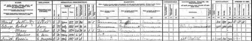 1900 Census