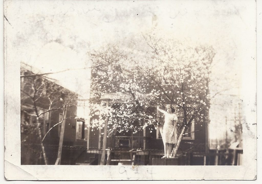In tree 1934